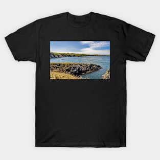 A view across St Justinian's on the Pembrokeshire T-Shirt